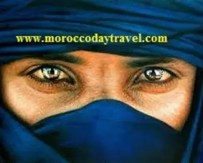 moroccodaytravel avatar