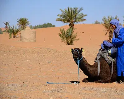 Marrakechdesertjourneys avatar