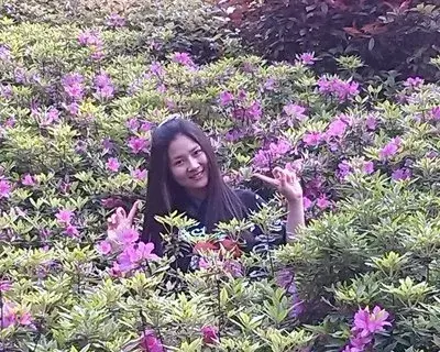 Hanna Xia avatar