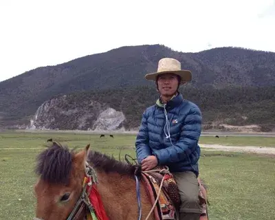 Yak avatar