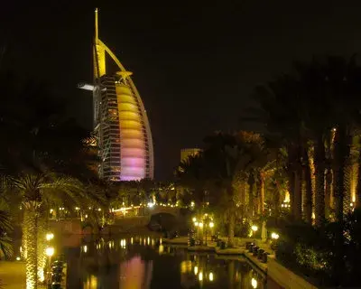 Lively Tours Dubai avatar