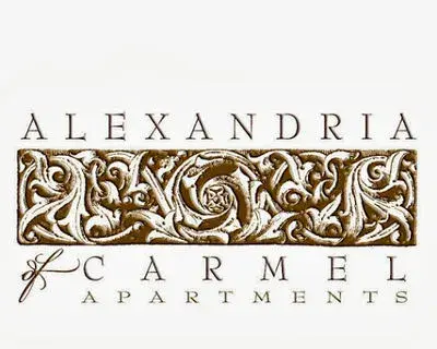 alexandriacarmel avatar