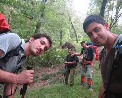 Arashbo avatar