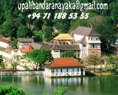 Upali Bandaranayaka avatar