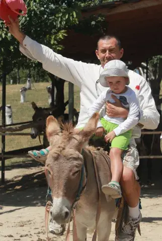 Sergey Tsarapora avatar