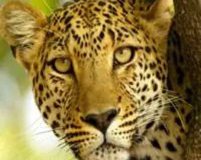 tripswithoutborders avatar