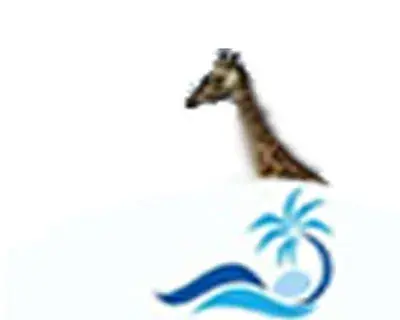 Segein Adventure Safaris avatar