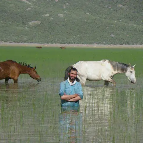 mohammadmalek avatar