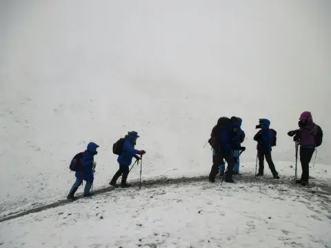 saran adhikari avatar