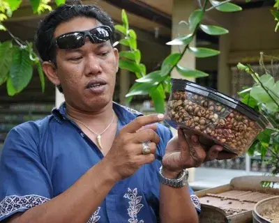 Putu Kardiasa avatar