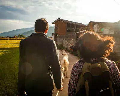 APPLE LI avatar