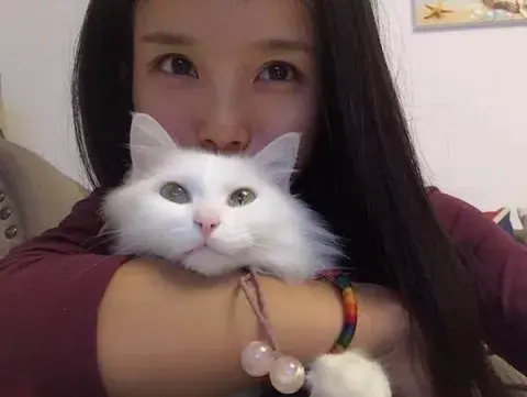 chunping avatar
