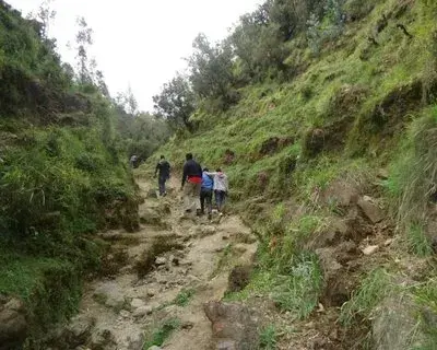 addis tour avatar