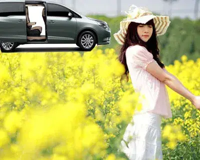 SherryZhengzhou avatar