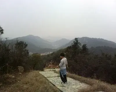 Lee Li avatar
