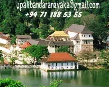 Upali Bandaranayaka avatar
