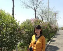 MongolAil avatar