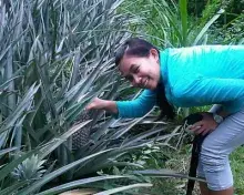 omahkandangan avatar