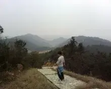Lee Li avatar